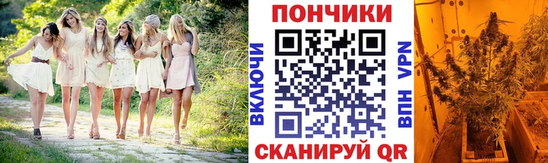 Где купить наркоту Моршанск ГАШИШ Каннабис Галлюциногенные грибы Меф мяу мяу