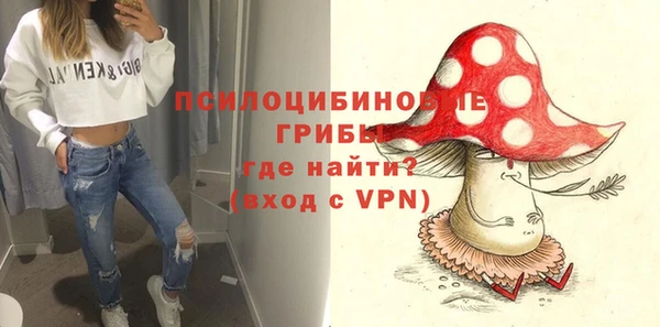 spice Абинск