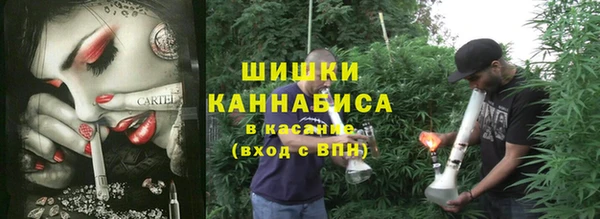 spice Абинск