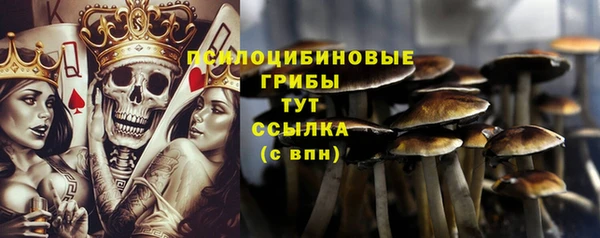 spice Абинск