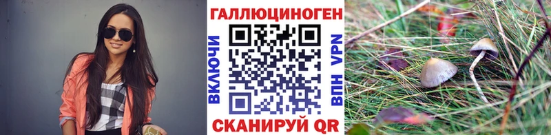 Галлюциногенные грибы Cubensis  как найти закладки  Моршанск 